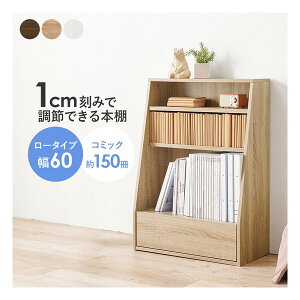 y1024ԌN[|zzz nMnubNbN g I2 60×s30×85cm i` RCC-1906NA(2609292)s