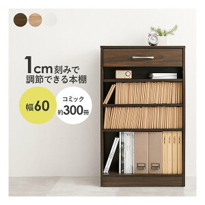 y3024ԌN[|zzz nMnubNbN g I3 60×s30×100cm uE RCC-1707BR(2609303)s