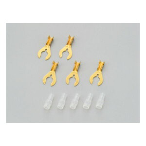 y3024ԌN[|zzzDAYTONA fCgi[^[TCNpzR[hZbg N^[q LE106 Zbg 6 D41231 NK^^VZbg PC6.0(2010436)s