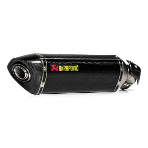 y1524ԌN[|zzzAKRAPOVIC AN|rb`XbvIC J[{ JMCA NINJA 1000SX 20-24 S-K10SO24-HRCJPP(2624734)s 