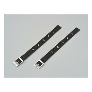 y2024ԌN[|zzzDAYTONA fCgiobOCiʔi tŒxg 2{ 94538(2510699)s