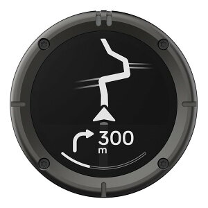 �y15����24���Ԍ���N�[�|���z�z�zBEELINE�i�r�[���C���jMoto II �i�r�Q�[�V���� �K�����^ BLD30-GMG(2619313)��������