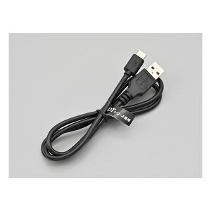 y1524ԌN[|zzzDAYTONA fCgiCJ DT-01/E1p Ci USBP[uType-C 24668(2578862)s
