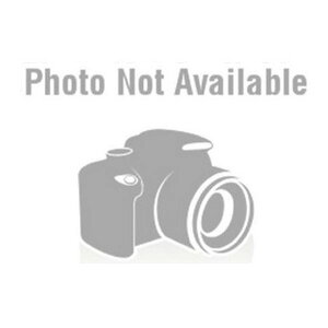 y}\ԃGg[Ń|Cg5{zDAYTONA fCgiobOCiʔi CJo[ HBV[gobOFDH-718p 15389(2610316)s