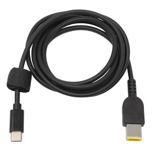 y1524ԌN[|zzzAINEX AClbNXdϊP[u USB-C - DC/PD65WΉ/LenovoANECΉ/1.5m CDC-SQRE-15(2619342)