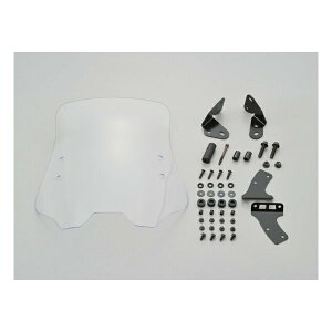 y2024ԌN[|zzzDAYTONA fCgiJEXN[ EChV[hRS ԎʃLbg WNT[150p NA[ D17446(2500337)s 