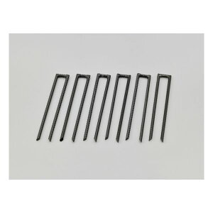 y3024ԌN[|zzzDAYTONA fCgiK[W IvVi MC HOUSE GV[nEX p UAJ[ D31383(2546509)s