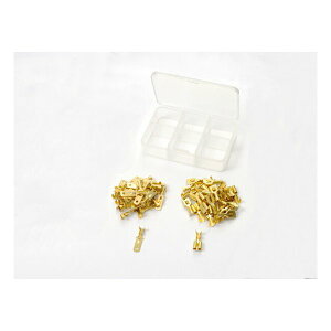 y2024ԌN[|zzzDAYTONA fCgi[^[TCNpzR[hZbg ^[qZbg 250^ RlN^[p D96161(2456029)s