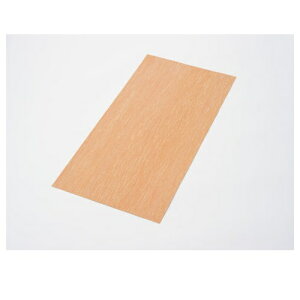 y11/1|Cg2{N[|zzzDAYTONA fCgiKXPbgV[g x[XKXPbgV[g 250×500 0.5 D96241(2439125)s