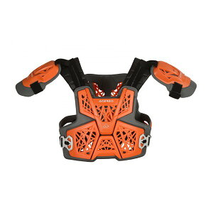 y2024ԌN[|zzzACERBIS A`FrX{fB[veN^[ GRAVITY LEVEL2 OR AC-24292OR(2645022)s 