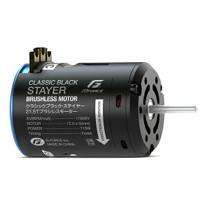 �y15����24���Ԍ���N�[�|���z�z�zG-FORCE�i�W�[�t�H�[�X�jClassic Black StayerBrushless Motor 21.5T G0423(2671210)����s�� ��������