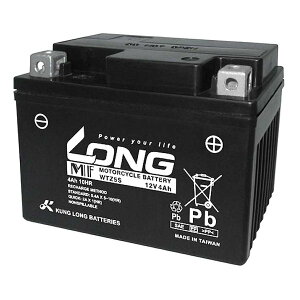 �y�G���g���[�ōő�10���|�C���g�zLONG �����O�o�b�e���[ 12V/4Ah �t������ WTZ5S(2473576)����s�� ��������