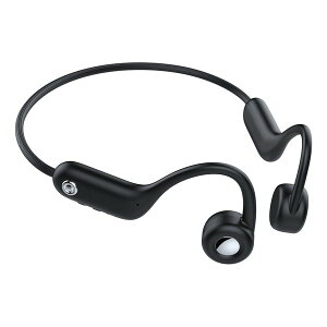 y1024ԌN[|zzzGREEN HOUSE O[nEX`CXCz | ubN GH-BCANC-BK(2565541)