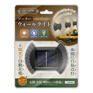 y3024ԌN[|zzzAXCEL ANZ\[[EH[Cg AXL-473(2583484)