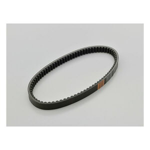 y1524ԌN[|zzzDAYTONA fCgixg AhX110p D31594(2108387)s 