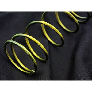 y524ԌN[|zzzDAYTONA fCgiX[p[Nb`Z^[XvO 3%UP CG[ z_/Dionp D78389(2359543)s