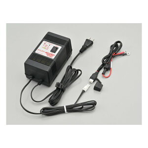 y524ԌN[|zzzDAYTONA fCgioCNpێ  [d 12VI[goCpobe[p ԑ̔z D71199(2303280)s 