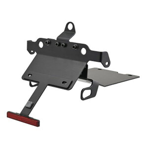 【30日は24時間限定クーポン配布】DAYTONA デイトナフェンダーレスキット ZRX1200R/S 01〜08 ZRX1100/ 97〜00 D74362(2331053)代引不可 送料無料