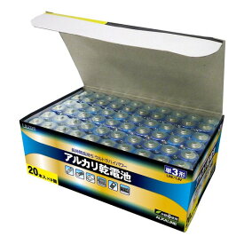 【15日は24時間限定クーポン配布】リーダーメディアテクノ乾電池 単3×60本入りケース（20本パック×3） BLAT3X20(2492047)送料無料