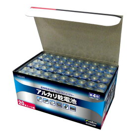 【30日は24時間限定クーポン配布】リーダーメディアテクノアルカリ乾電池 単4×60本入りケース（20本パック×3） BLAT4X20(2492048)送料無料