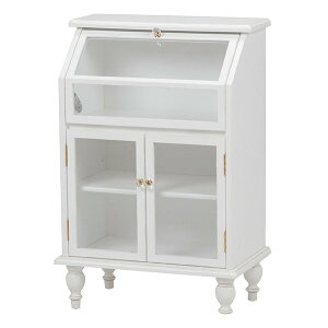 y2524ԌN[|zzz nMnKXLrlbg L 60cm AeB[N zCg RCC-1788AW(2519618)s