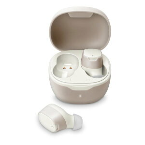 �y10����24���Ԍ���N�[�|���z�z�zPGA �s�[�W�[�G�[Premium Style �g�D���[���C�����X�X�e���I�C���z�� �x�[�W��×�A�C�{���[ PG-BTE14TW5BE(2514788)��������