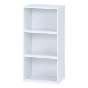 y2024ԌN[|zzzsf tW{EGLJ[{bNX 3i 41.8cm zCg HP943(2542982)s