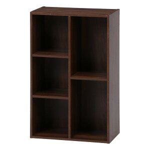 �y5���͍ő�5000�|�C���g�z�s��f�� �t�W�{�E�G�L�t���[�{�b�N�X ��55cm �~�f�B�A���u���E�� MBR(2543160)����s��