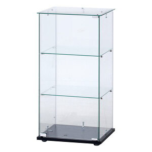 y3024ԌN[|zzzsf tW{EGLKXRNVP[X3i NA ubN TMG-G171BK(2543452)s