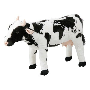 y3024ԌN[|zzzsf tW{EGLAj}Xc[ EV 53cm ω׏d80kg 8981-31(2542460)s