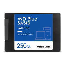 Western Digital ウエスタンデジタル2.5 SATA SSD 250GB WDS250G3B0A WD Blue 2.5インチ WDS250G3B0A(2545477)送料無料