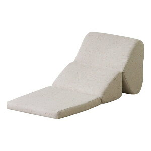 y2524ԌN[|zzzJ AY}TV LTCY x[W W46×D69-90×H37-45×SH5 FCC-121BE(2564681)s