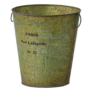 y524ԌN[|zzzJ AY}_Xg{bNX O[ 25×H29 LFS-426GR(2564901)s