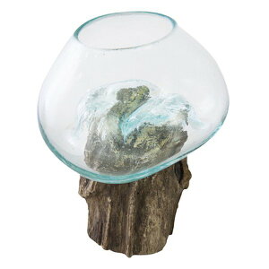 y11/1|Cg2{N[|zzzJ AY}KXIuWF NA 20-30cm TTZ-311(2565482)s