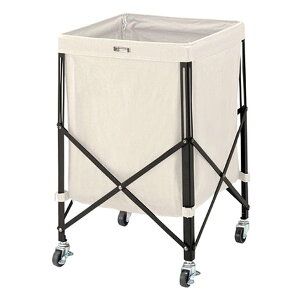 y2024ԌN[|zzzJ AY}tH[fBOoXPbgS AC{[ 36×s36×56cm MIP-74IV(2565049)s