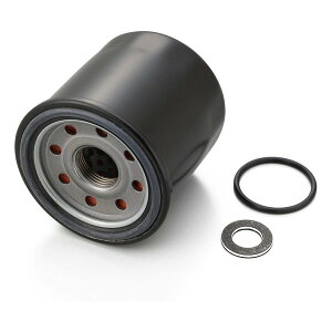 �y20����24���Ԍ���N�[�|���z�z�zDAYTONA �f�C�g�i���v���C�X �I�C���t�B���^�[ NINJA250/ABS �� �I�C�������p�[�t�F�N�g�Z�b�g D18062(2506247)����s��