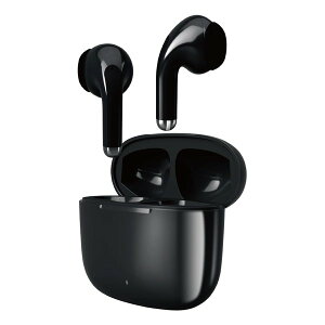 �y1���̓|�C���g2�{���N�[�|���z�z�zGREEN HOUSE �O���[���n�E�X���S���C�����X�X�e���I�C���z�� SBC AAC �u���b�N GH-TWSJ-BK(2585245)��������