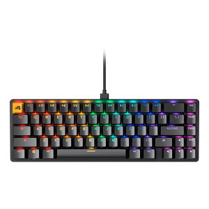 �y30����24���Ԍ���N�[�|���z�z�zGlorious PC Gaming Race �O�����A�X �s�[�V�[ �Q�[�~Glorious GMMK 2 65% Pre-Built �u���b�N GLO-GMMK2-65-FOX-B(2588633)����s�� ��������