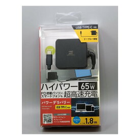 MASSPOWER マスパワーPD65W出力・USB-C充電アダプタ E0651C200325FU SM00865DG(2590228)送料無料