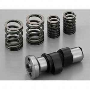 【25日は24時間限定クーポン配布】DAYTONA デイトナハイカムシャフト 48110、66146補修用 D47445(2111544)代引不可 送料無料