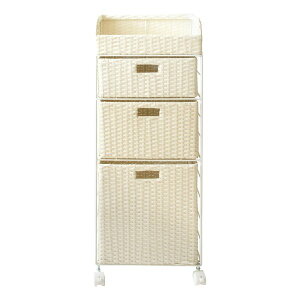 y3024ԌN[|zzz{쏊 ~^PZCTNWh[bN DiarioifBAIj h[{bNX/󂩂/IV RB-359 IV(2614317)s