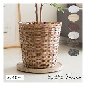 y11/1|Cg2{N[|zzz{쏊 ~^PZCTNWv^[X^h 嗝Ε Trenoig[mj AؔgC /M/WH MST-D400 WH(2614092)s