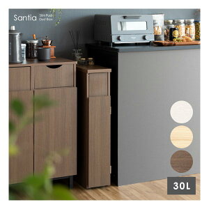 y1524ԌN[|zzz{쏊 ~^PZCTNWX_Xg{bNX SantiaiTeBAj S~/Lb`y[/i` DB-F170 i`(2614394)s