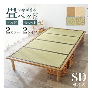 y2024ԌN[|zzz nMnZ~_uxbh WB-7717SD OTCY prt CguE/N} WB-7717SD-LBRN}(2615107)s