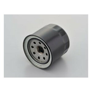 y11/1|Cg2{N[|zzzDAYTONA fCgiICtB^[ J[gbW D67939(2297697)s