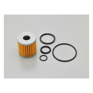 y1524ԌN[|zzzDAYTONA fCgiICp[tFNgZbg ICtB^[ AhX110 ICREJZbg AhX110(2520927)s