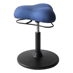 �y25����24���Ԍ���N�[�|���z�z�z�{�����쏊 �~���^�P�Z�C�T�N�W���v���|�[�V�����X�c�[�� �X�c�[��/���[�^�C�v/�u���[ CH-800L �u���[(2614539)����s��