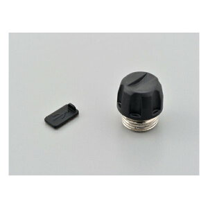 y3024ԌN[|zzzDAYTONA fCgiCJ drLbv u[gD[X2Ci D94228(2455684)s