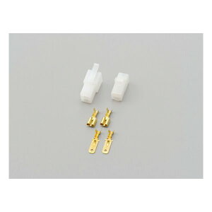 y2024ԌN[|zzzDAYTONA fCgi[^[TCNpzR[hZbg RlN^[250^EtbN Zbg 2 D96187(2456042)s