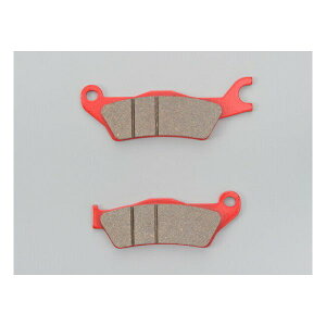 y1024ԌN[|zzzDAYTONA fCgiu[Lpbh PAD D99853(2496003)s